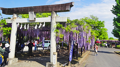 ファイル 3902-1.jpg