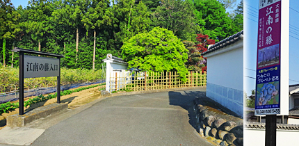 ファイル 3903-1.jpg