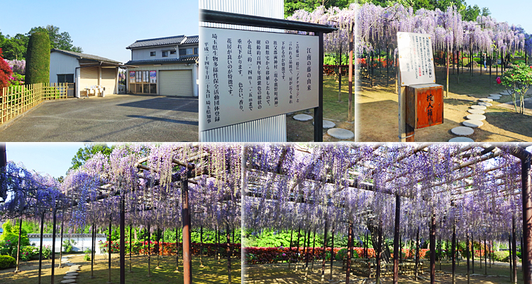 ファイル 3903-2.jpg