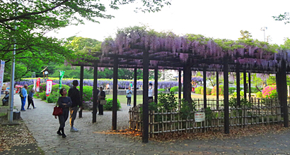 ファイル 3904-1.jpg