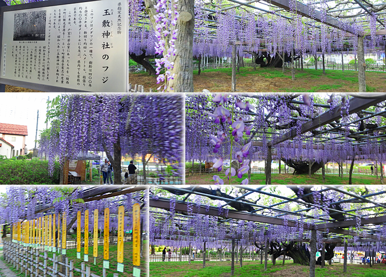 ファイル 3904-3.jpg