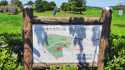 ファイル 3906-1.jpg
