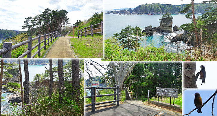 ファイル 3919-6.jpg