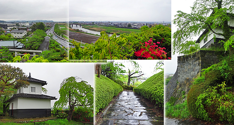 ファイル 3927-3.jpg