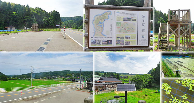 ファイル 3953-4.jpg