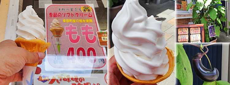 ファイル 3971-2.jpg