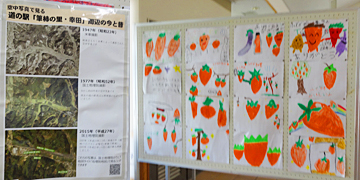 ファイル 3971-3.jpg