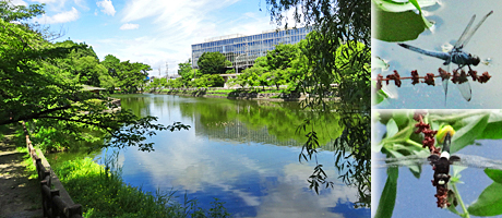 ファイル 3972-5.jpg