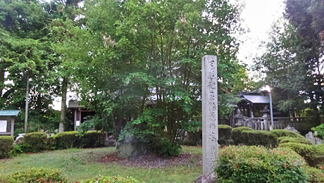ファイル 3975-3.jpg
