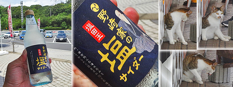ファイル 3980-3.jpg