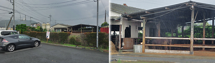 ファイル 3993-3.jpg