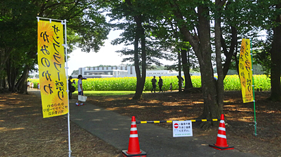 ファイル 3994-1.jpg