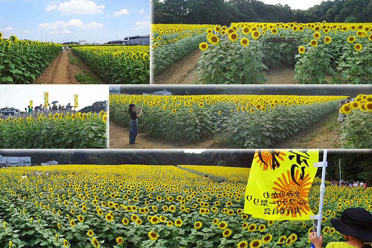 ファイル 3994-3.jpg