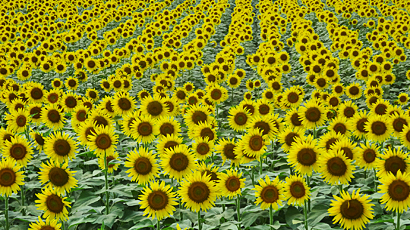 ファイル 3994-4.jpg