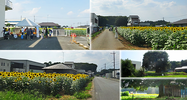 ファイル 3994-6.jpg