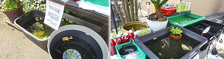 ファイル 4000-2.jpg