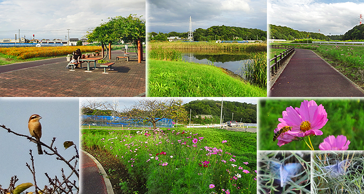 ファイル 4003-4.jpg