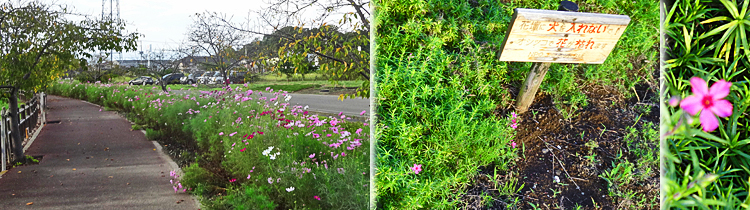 ファイル 4003-5.jpg