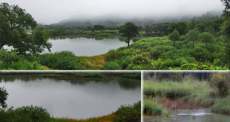 ファイル 4005-2.jpg