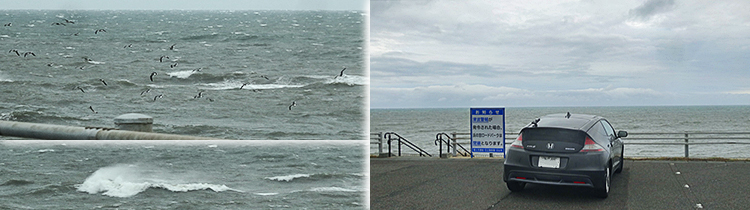 ファイル 4012-3.jpg