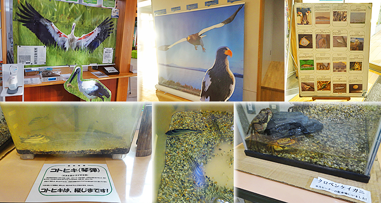 ファイル 4013-2.jpg