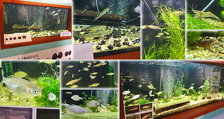 ファイル 4013-4.jpg