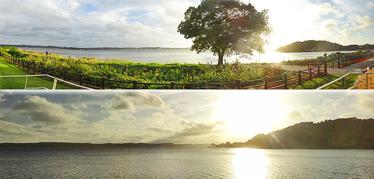 ファイル 4013-5.jpg