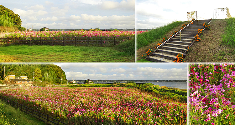 ファイル 4013-6.jpg