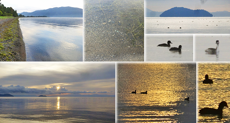 ファイル 4019-3.jpg