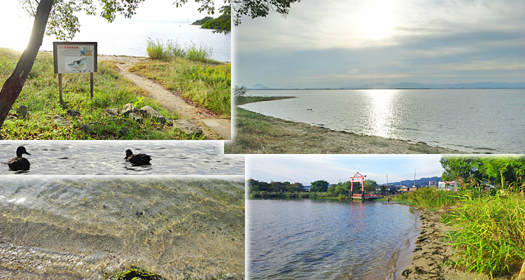 ファイル 4020-3.jpg