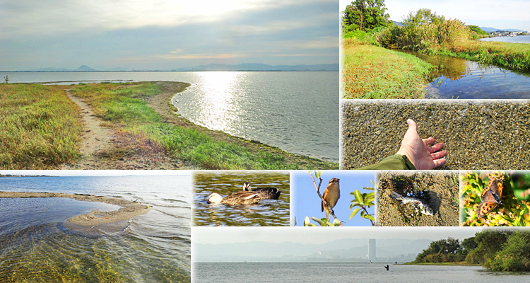 ファイル 4020-4.jpg