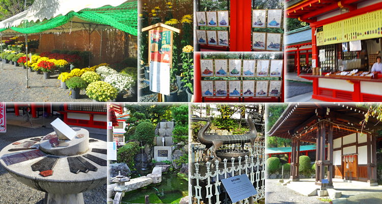 ファイル 4022-4.jpg