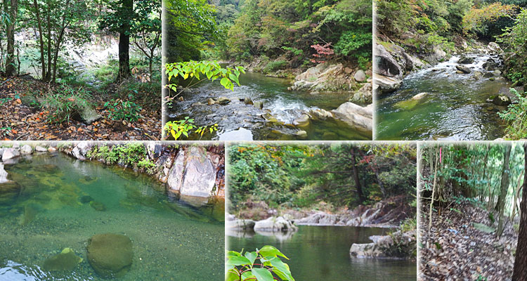 ファイル 4023-2.jpg