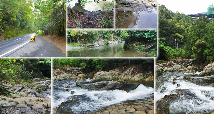 ファイル 4023-3.jpg