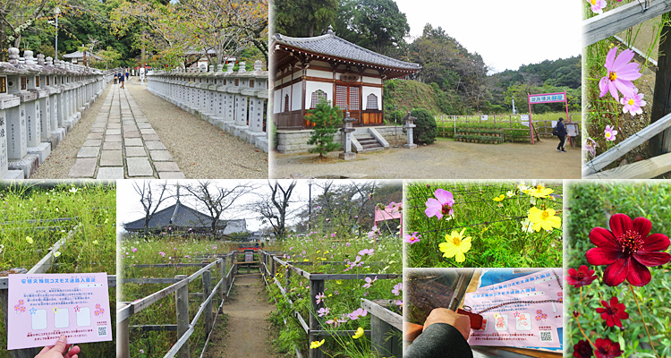 ファイル 4027-3.jpg