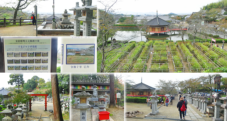 ファイル 4027-5.jpg