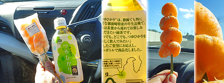 ファイル 4030-4.jpg