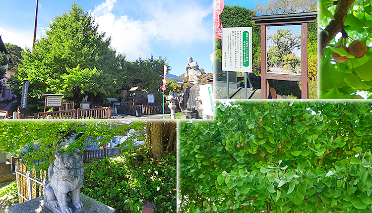 ファイル 4032-3.jpg