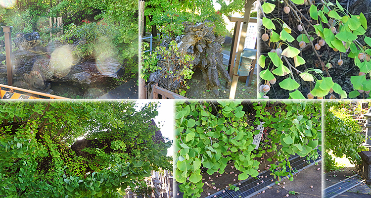 ファイル 4032-4.jpg