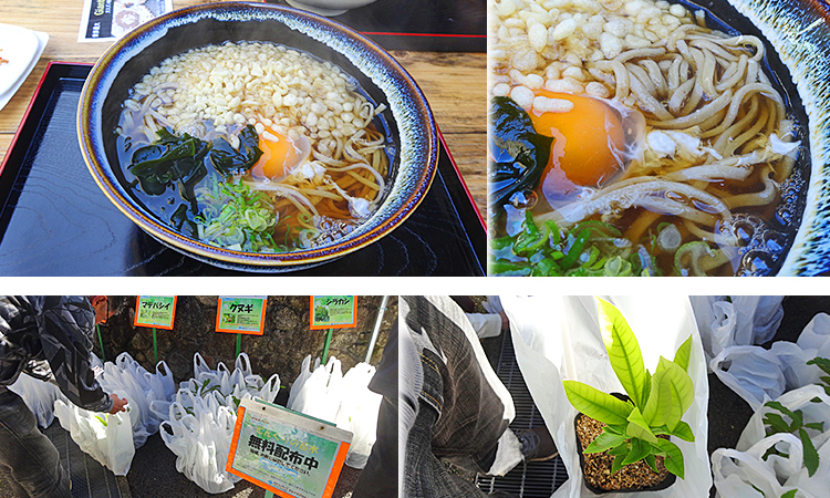 ファイル 4035-3.jpg