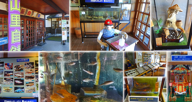 ファイル 4046-2.jpg