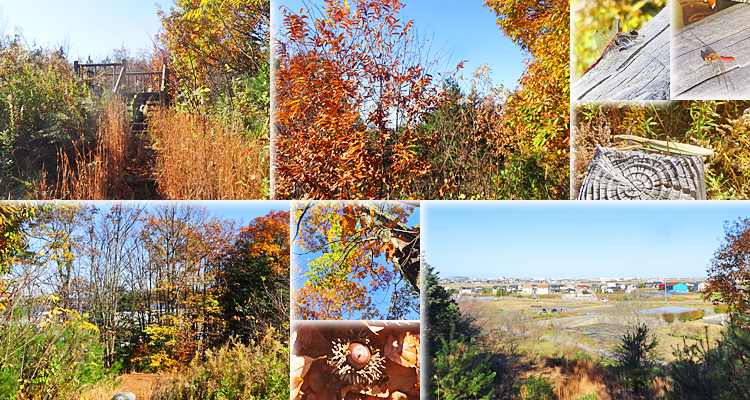 ファイル 4053-3.jpg