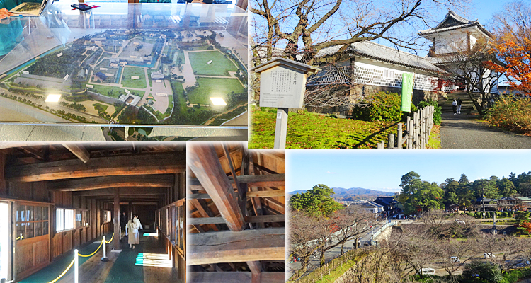 ファイル 4056-3.jpg