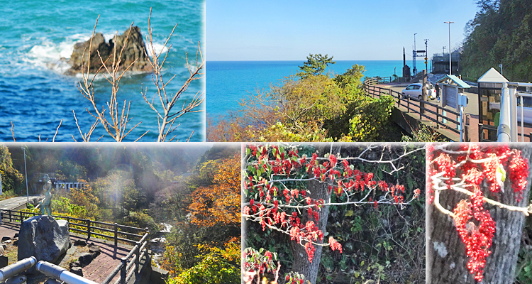 ファイル 4060-3.jpg