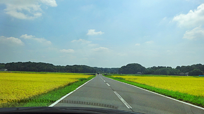 ファイル 810-1.jpg