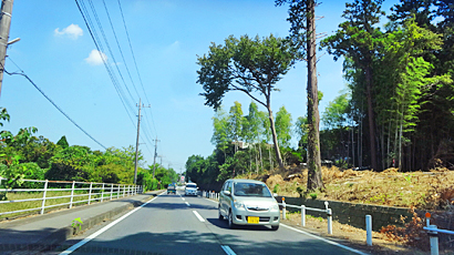ファイル 812-1.jpg