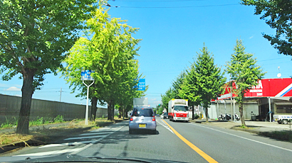ファイル 814-1.jpg