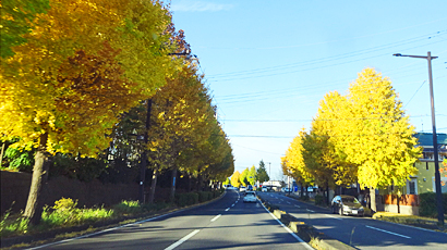 ファイル 842-1.jpg