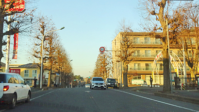 ファイル 850-1.jpg